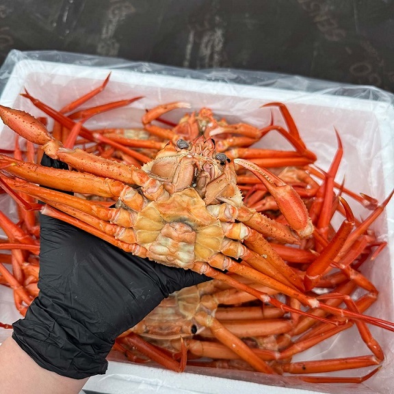 달달하기로 유명한 연지홍게3kg(10미내외)-[4월10일/금요일수령]